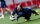 Аршавин: Сафонов проведёт больше десяти матчей в Лиге 1